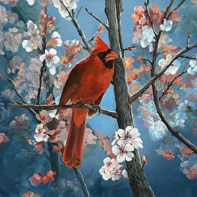Apple Blossom Cardinal