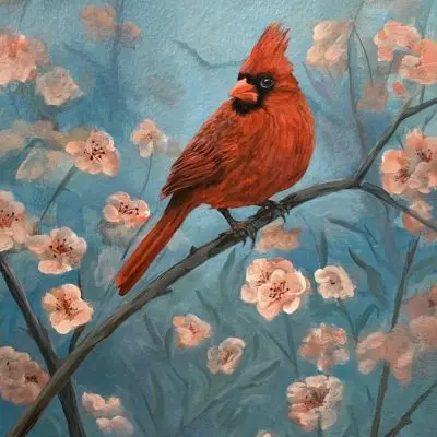 Just a Red Bird