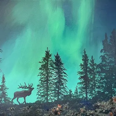 Nocturnal Brilliance