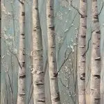 Wintery aspen trees, or birch trees, sparkling