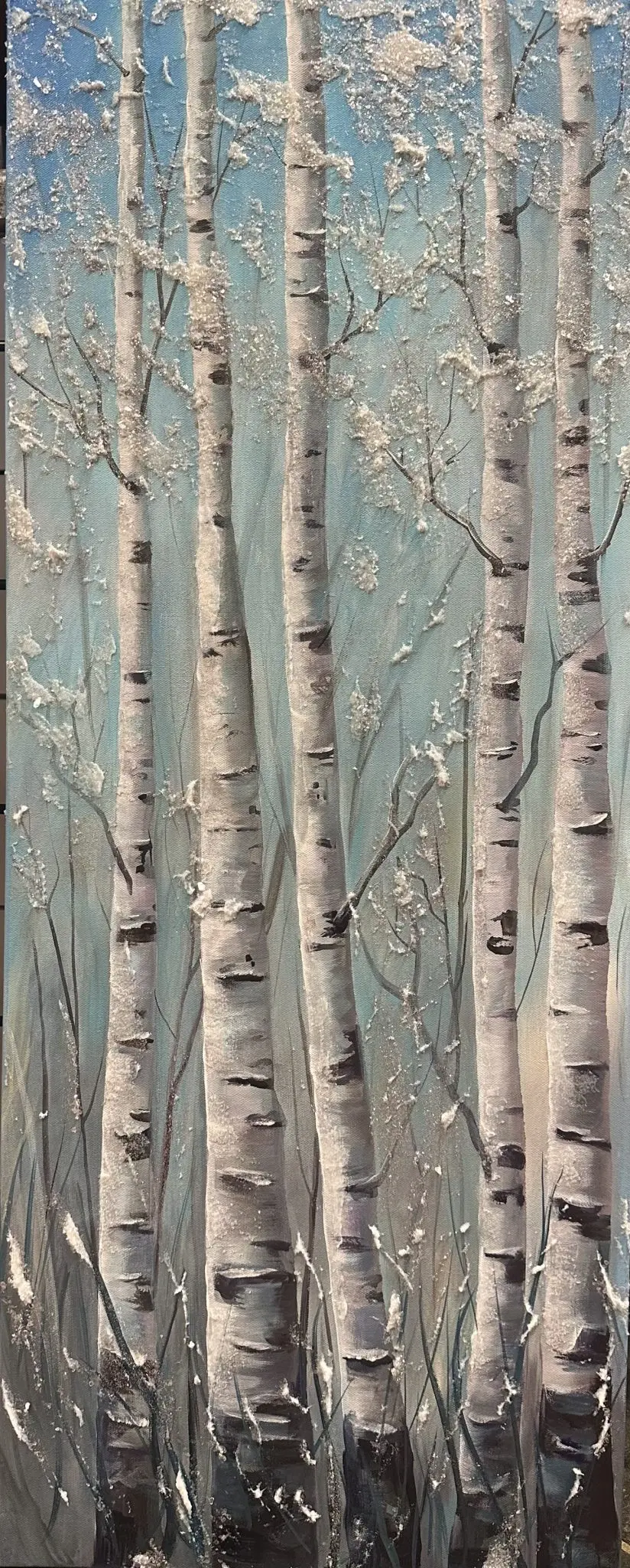 Glistening Calm Wintery aspen trees, or birch trees, sparkling
