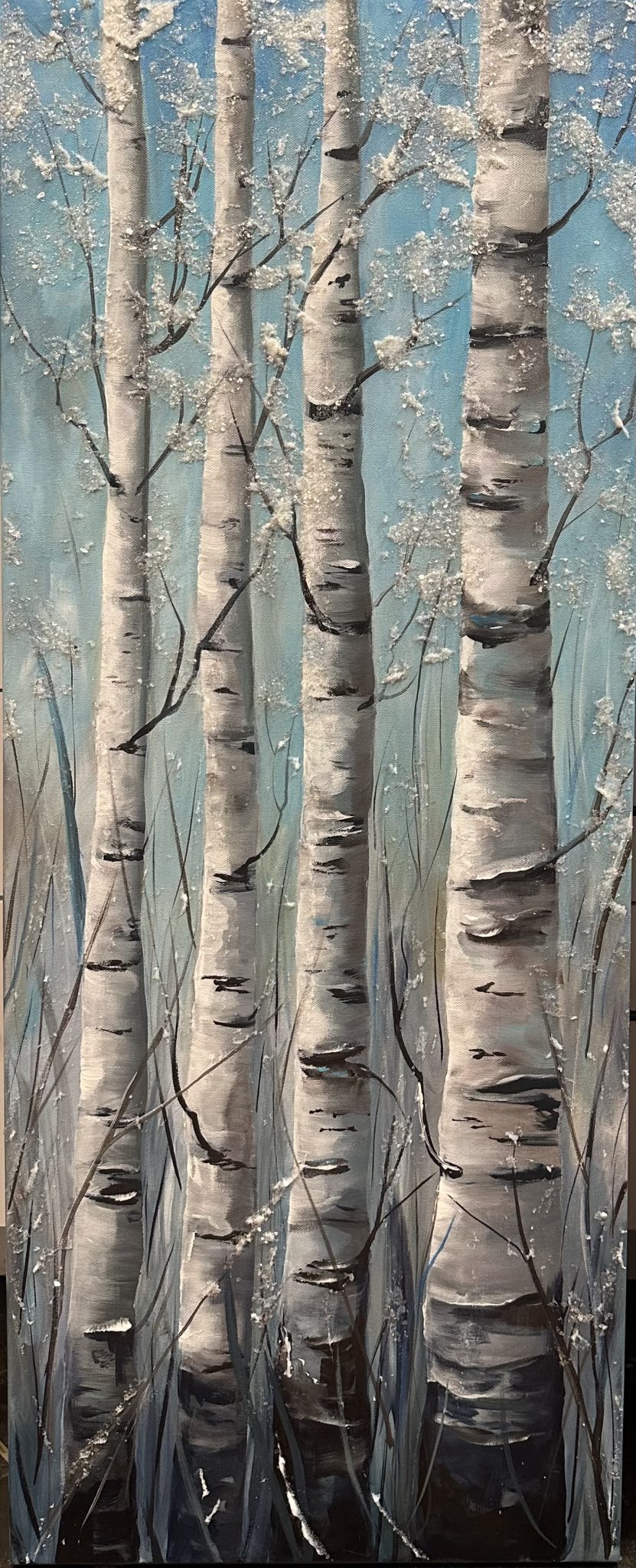white birch trees, aspen trees, winter trees with sparkle